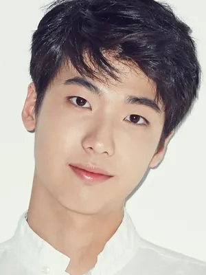 Hong Jin-gi