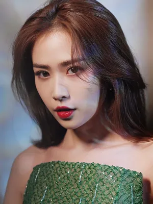 Liu Meitong