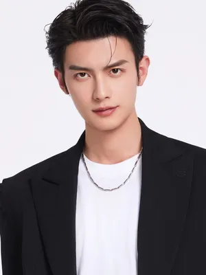 Chen Heyi