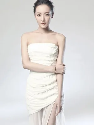 Zhu Hong