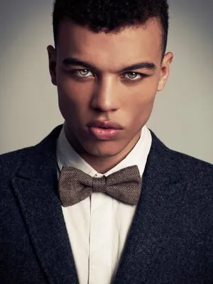 Dudley O'Shaughnessy