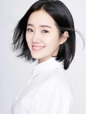 Zhao Jing