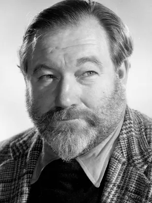 James Robertson Justice