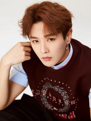 Li Wenhan