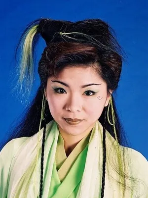 Wong Mei-Fan