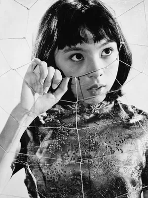 Lynne Sue Moon