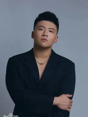 Zhao Zhenhua
