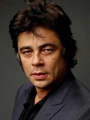 Benicio del Toro