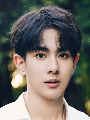 Zhang Junjie