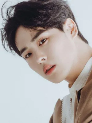 Choi Byung-chan