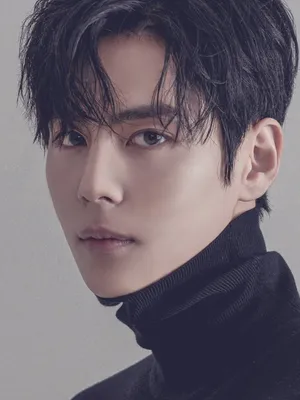 Lee Soo-woong
