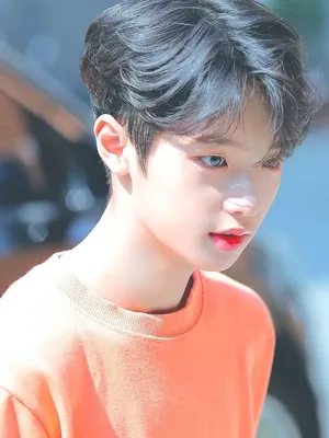 Son Dong-pyo