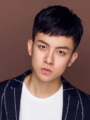 Liu Zhehui
