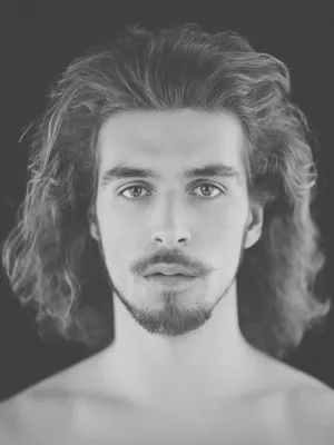 Alexi Carpentieri