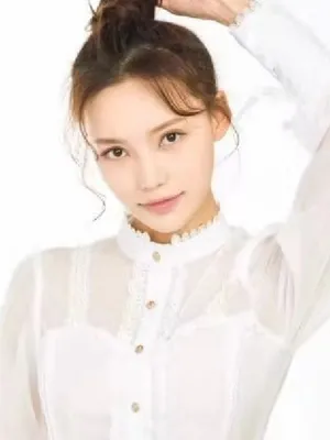 Hou Meng