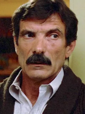 Robert Darnell