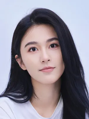 Liu Tingxi