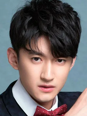 Gao Guangze