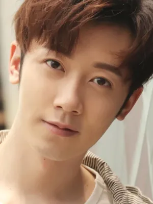 Dai Tingrui