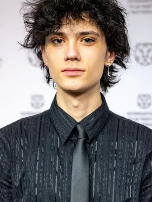 Diron Sterk
