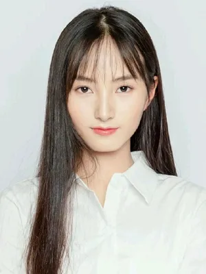 Niu Xinxin