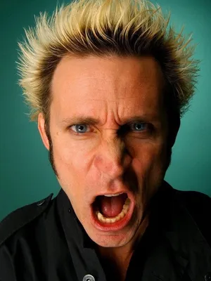 Mike Dirnt