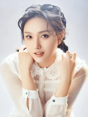 Wang Shu Dan