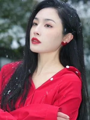 Lin Wenjie