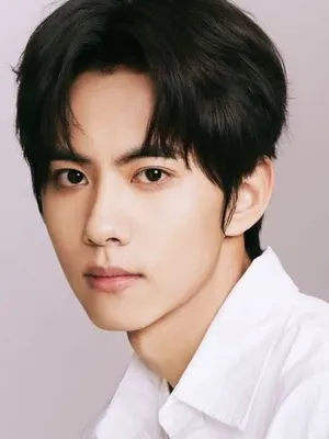 Liu Xuancheng