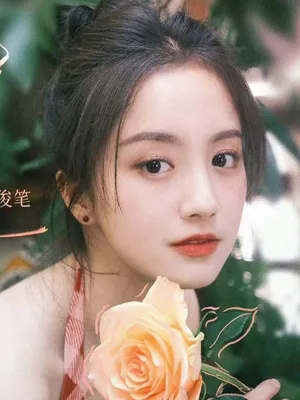 Wang Jun Bi