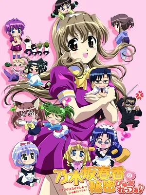 Bí mật của Nogizaka Haruka Mùa