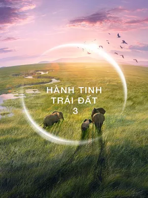 Hành Tinh Trái Đất